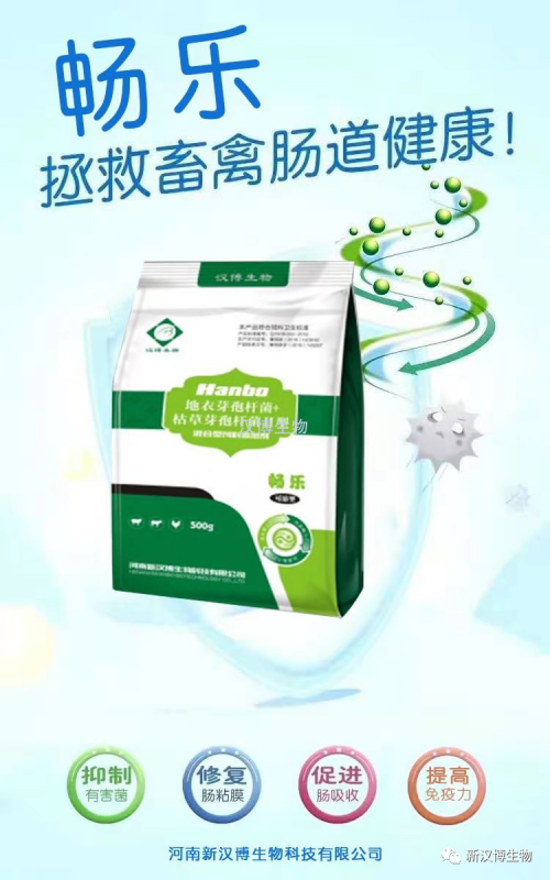 飼料禁抗后，斷奶仔豬腹瀉問題將更為嚴重，養豬人如何應對